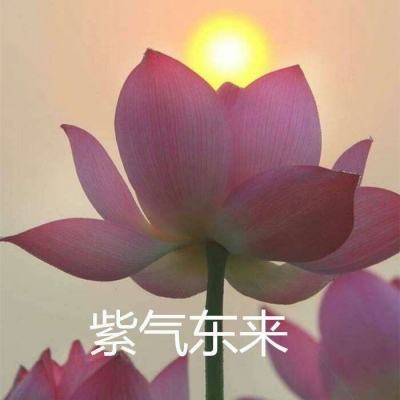 灵魂回响国服